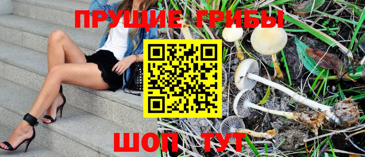 купить  сайты  Псилоцибиновые грибы Psilocybe  Вход с VPN  Псилоцибиновые грибы MAGIC MUSHROOMS  Пушкино 